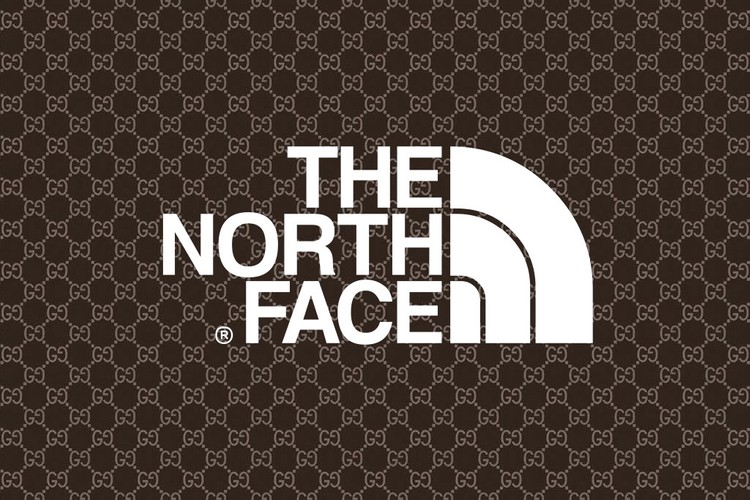 gucci the north face