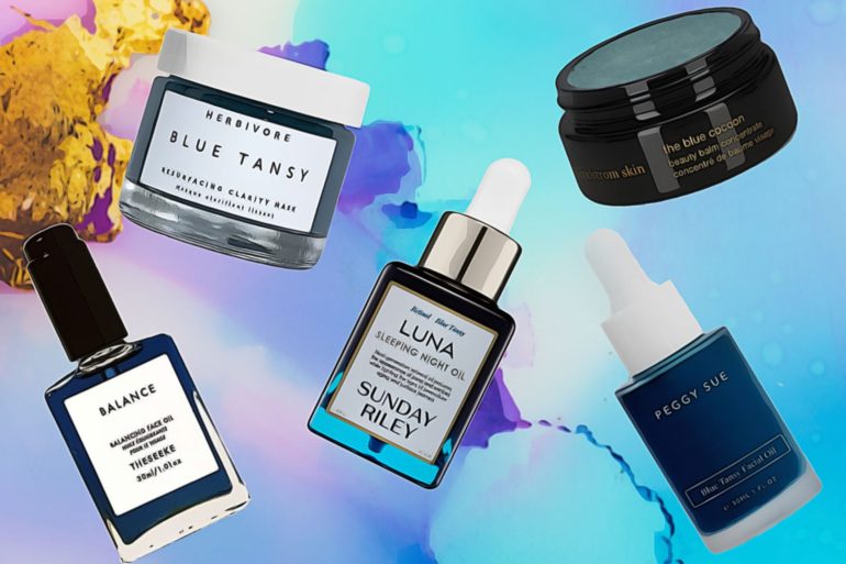 skin blue tansy oil skincare products